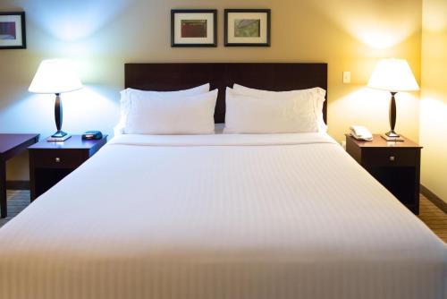 holiday inn express devils lake by ihg