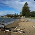 waiake beach apartments