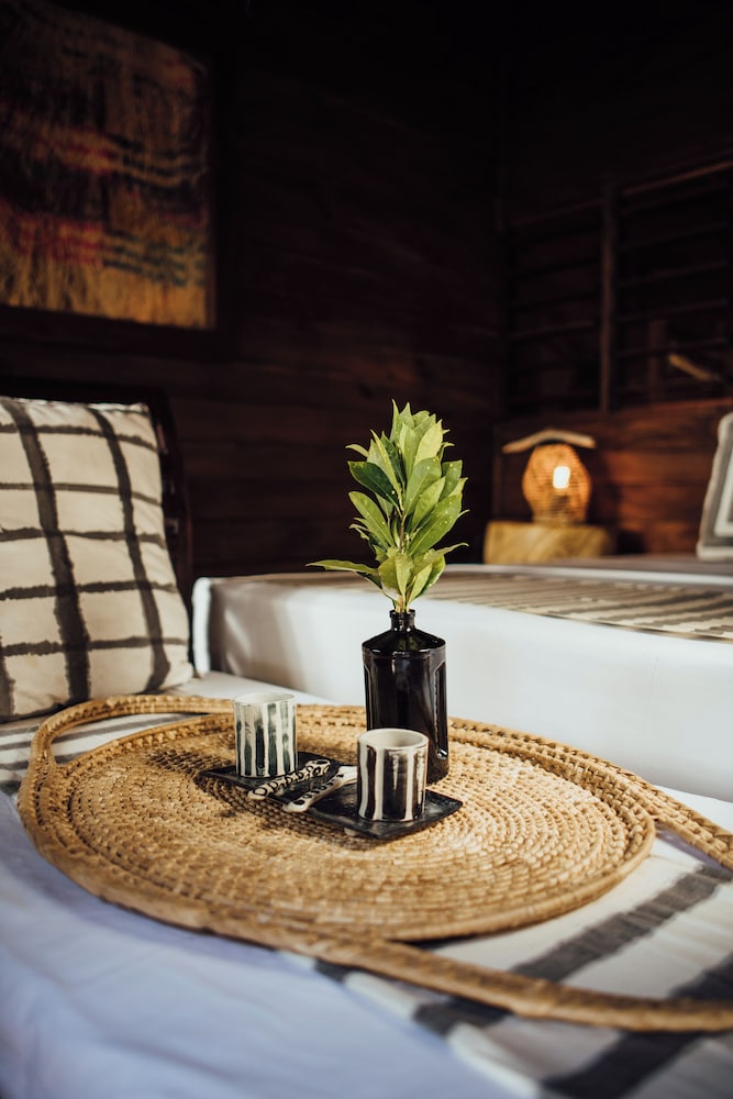 trees and fishes private retreat