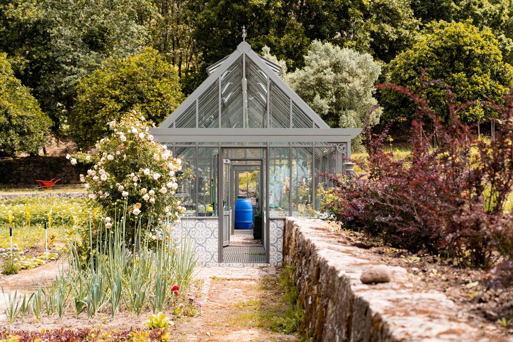 vinte quinta da boavista