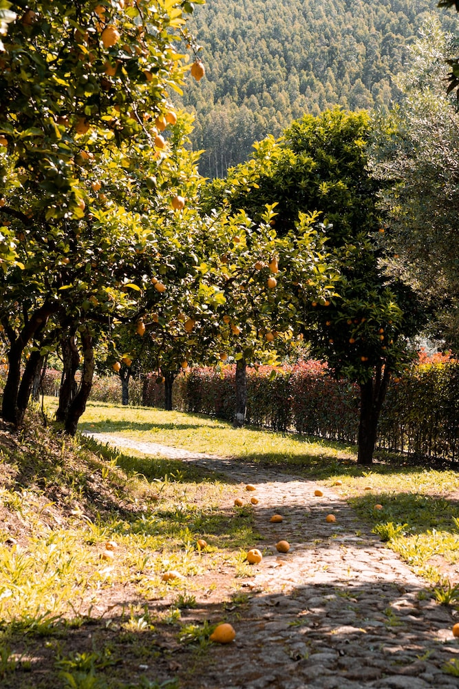 vinte quinta da boavista
