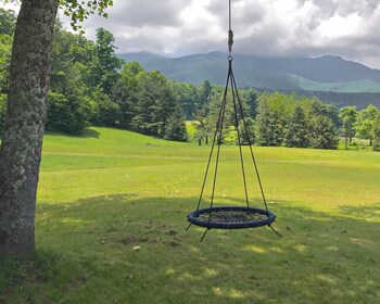 lodge at mount mitchell
