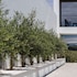evora o cante hotel