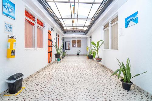 ayenda bariloche la 22