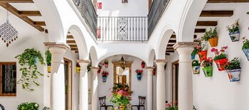 estepona
