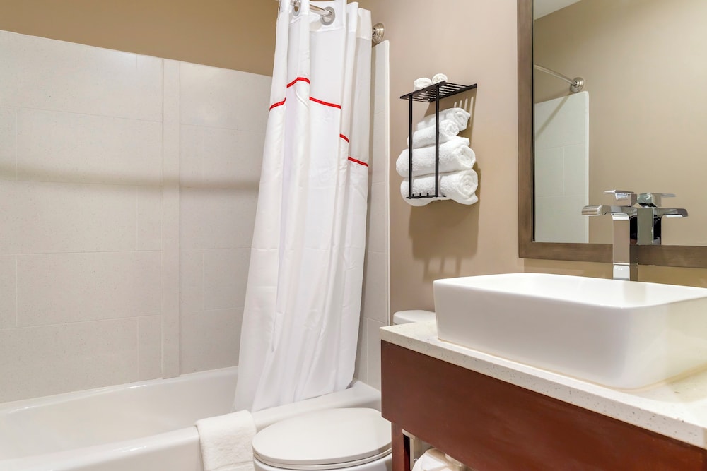 red roof inn plus jamaica ny jfk airport