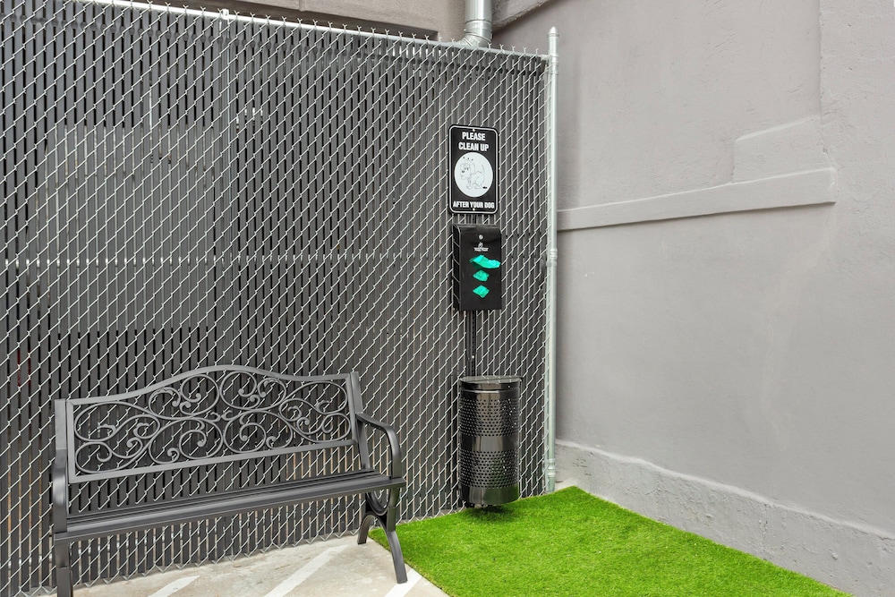 red roof inn plus jamaica ny jfk airport