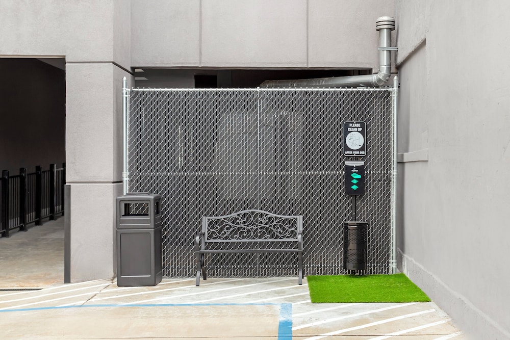 red roof inn plus jamaica ny jfk airport