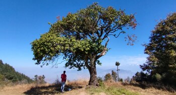 camp awara kanatal