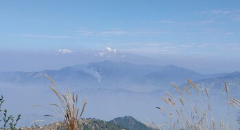 camp awara kanatal