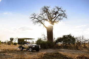 ila safari lodge