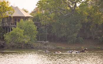 ila safari lodge