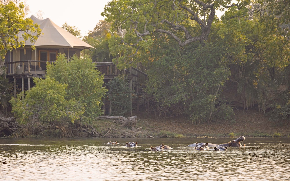 ila safari lodge