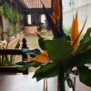 bohemia hotel boutique