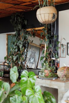 eagle view lodge