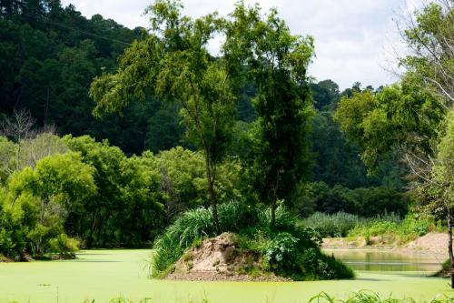 santa cruz del quiche