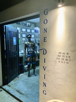 south pacific memories