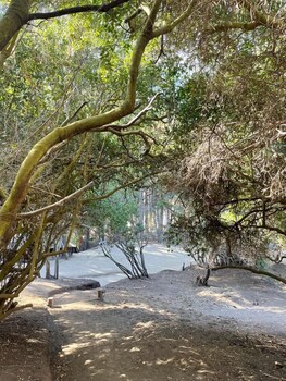 parque laguna de zapallar