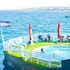 santa cruz