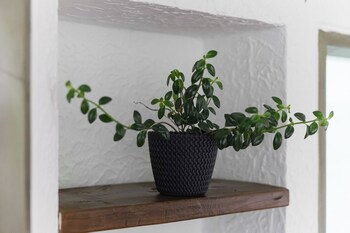 hotel chalet la sofia by majuva