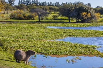 estancia san agustin