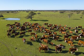 estancia san agustin