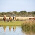 estancia san agustin