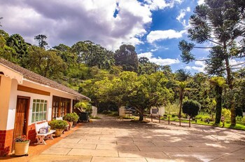 colonia saa