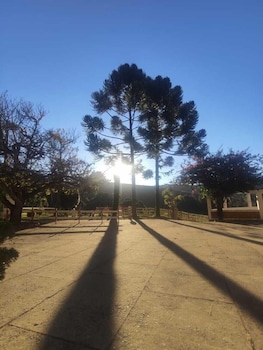 colonia saa