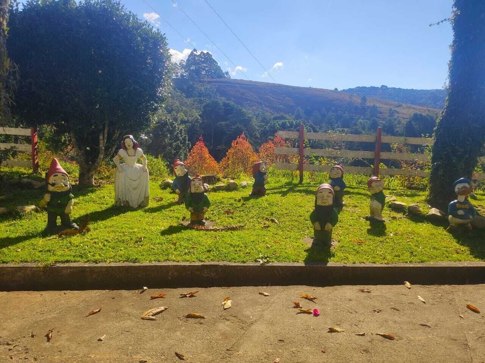 colonia saa