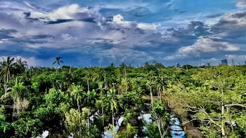 coconut lane bangkok