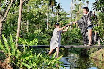coconut lane bangkok