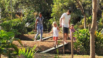 coconut lane bangkok