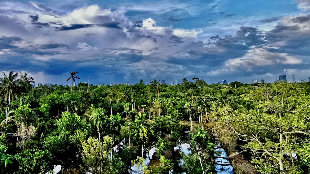 coconut lane bangkok