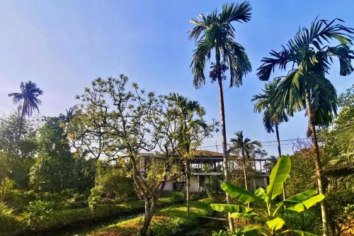 coconut lane bangkok