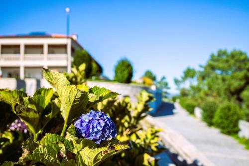 hotel cotto do gatto