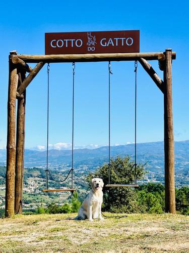 hotel cotto do gatto