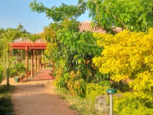 tiara elephant lodge