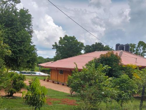 tiara elephant lodge