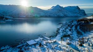 torsken brygge senja by heart