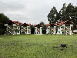 resort alapa