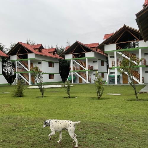 resort alapa