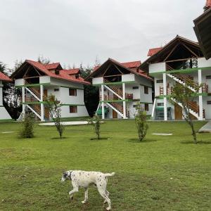 resort alapa
