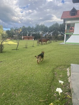 san jeronimo de tunan