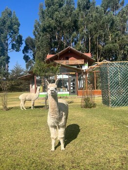 san jeronimo de tunan