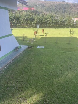 san jeronimo de tunan
