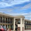 hotel 81 el reno