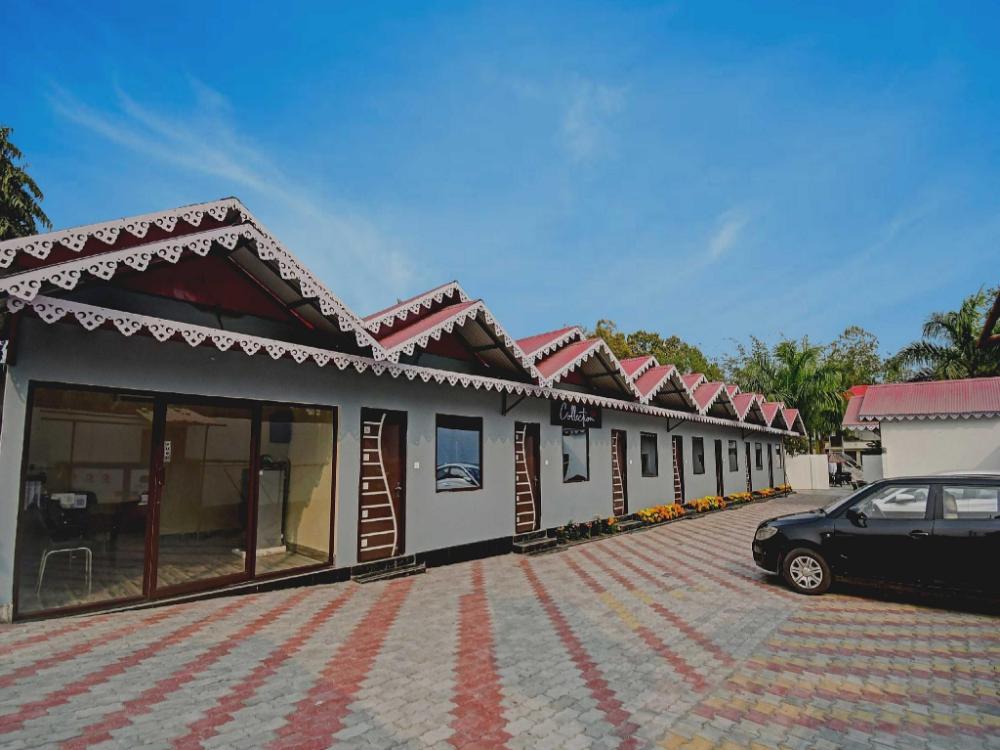 collection o palm tree resort