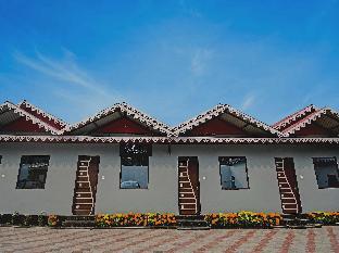 collection o palm tree resort