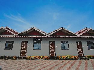 collection o palm tree resort